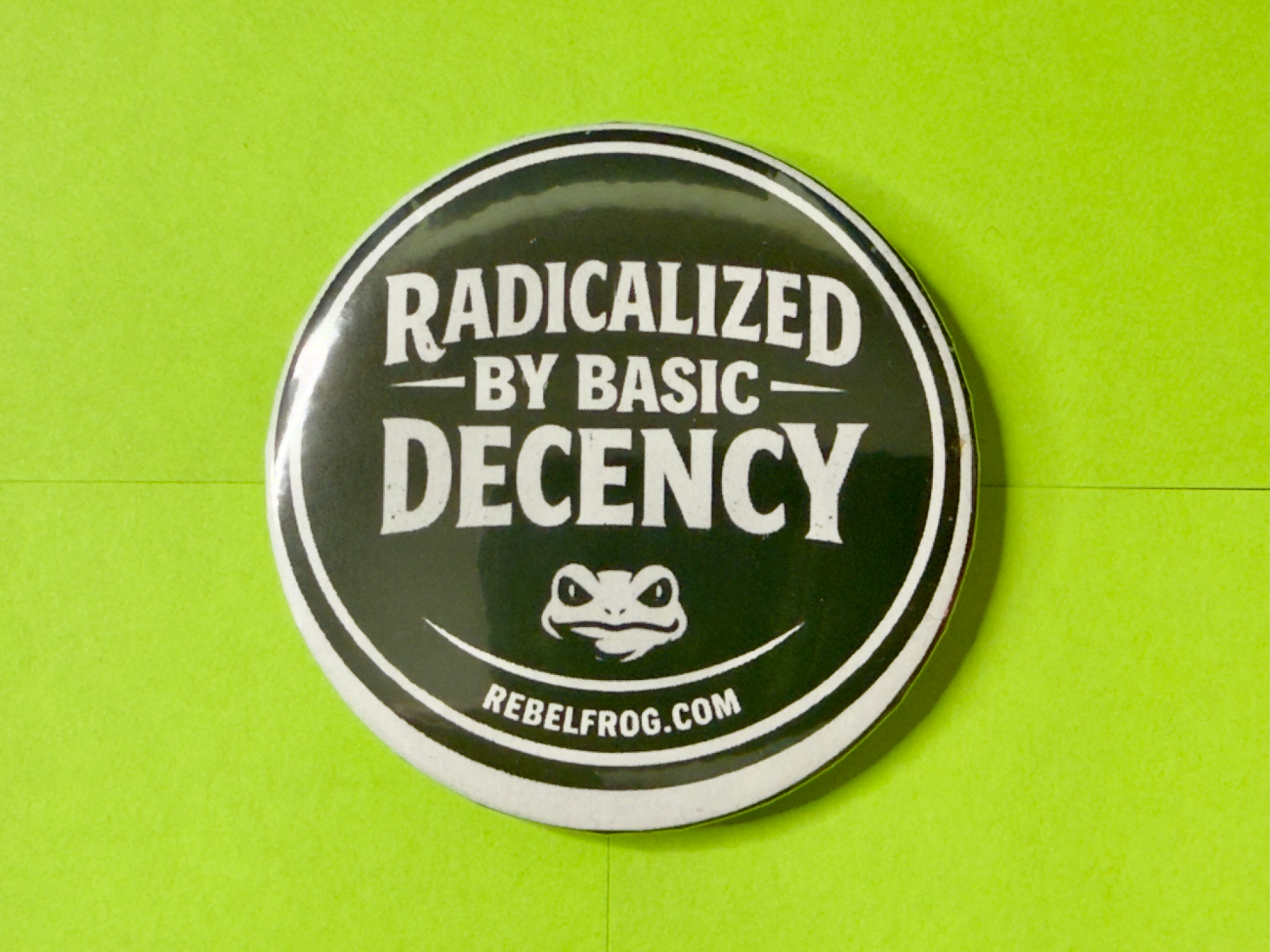 Radicalized By Basic Decency Button