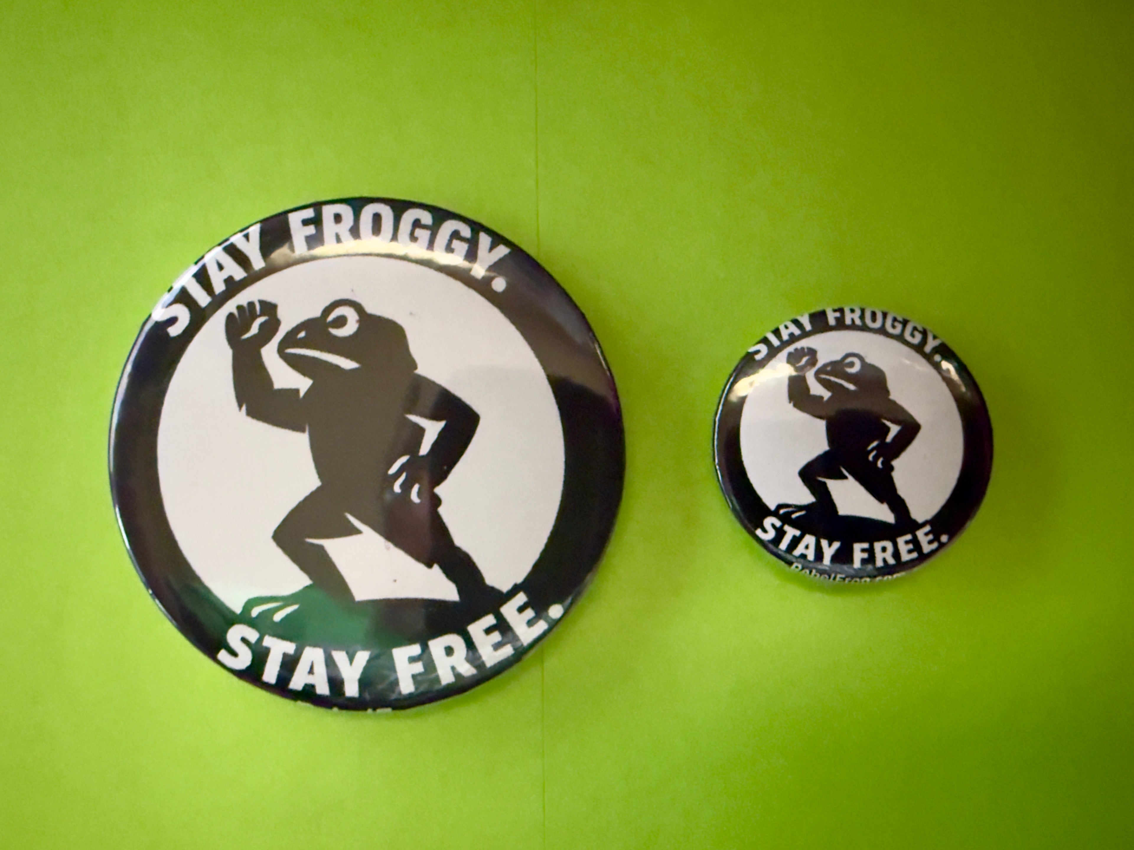 Rebel Frog Stay Froggy. Stay Free. Button