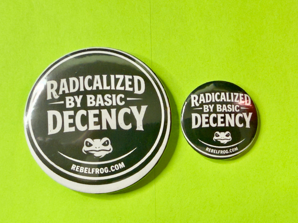 Radicalized By Basic Decency Button