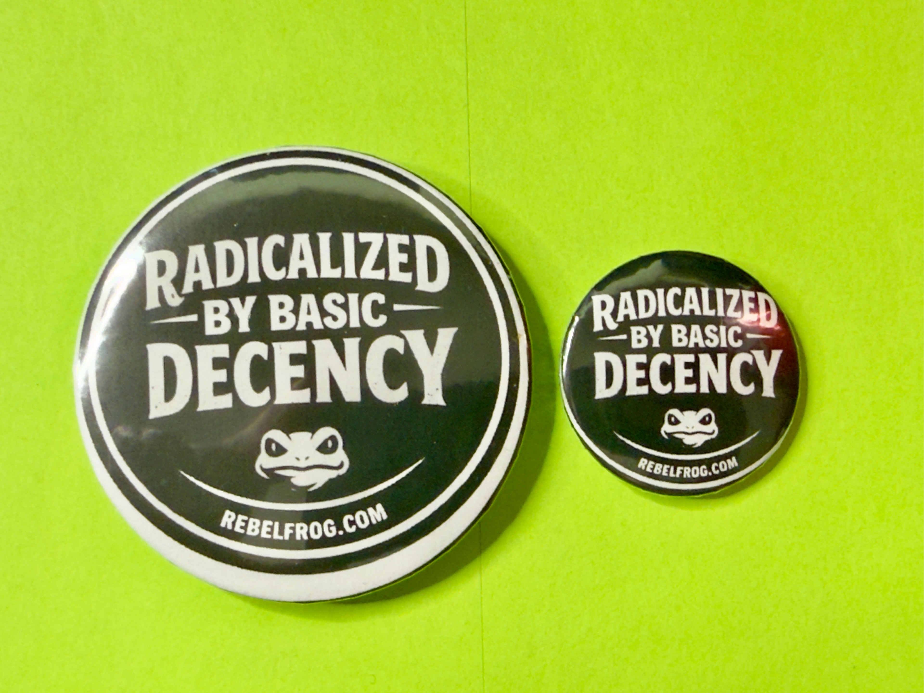 Radicalized By Basic Decency Button