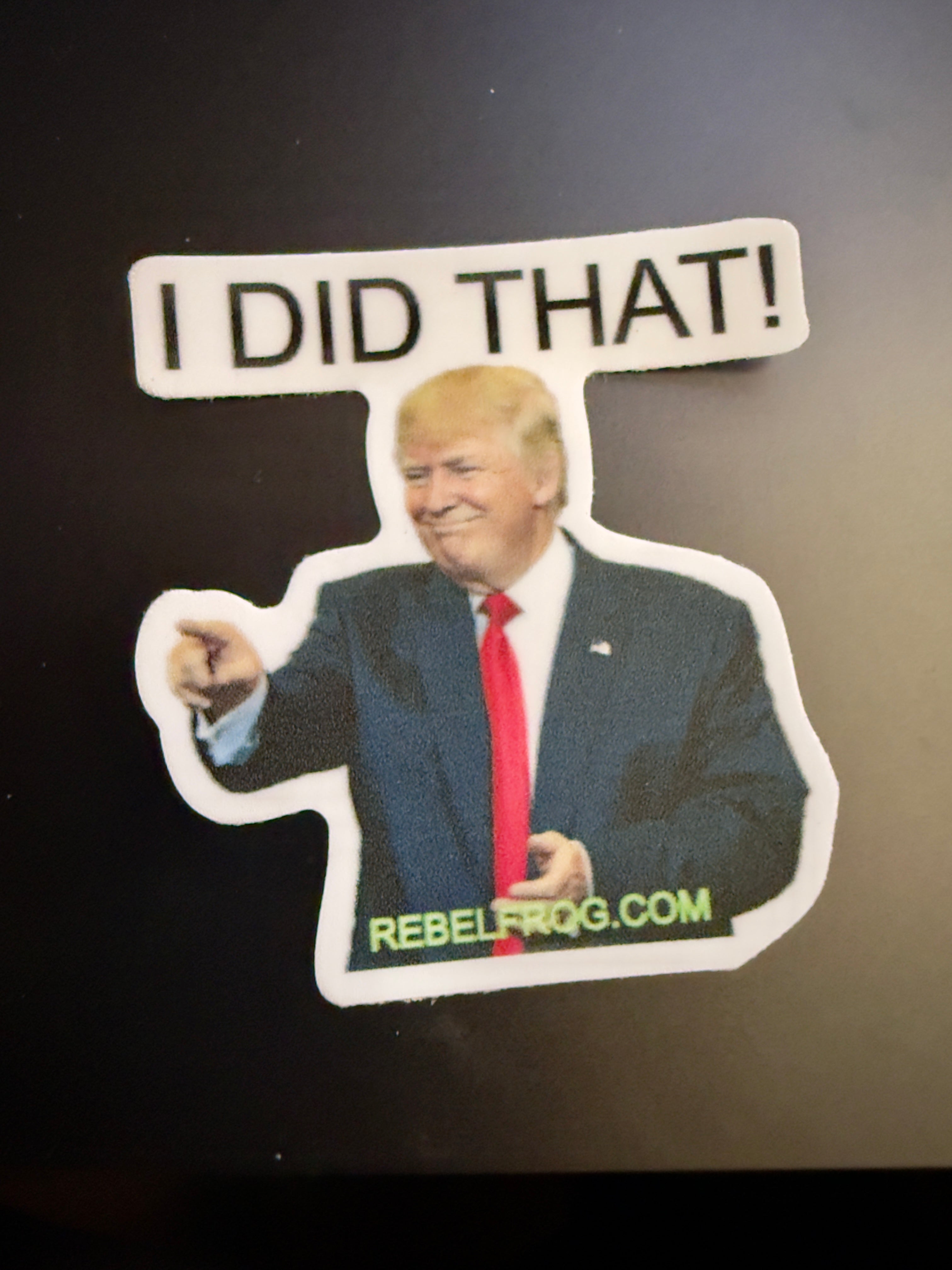 “I DID THAT!” Political Sticker – Rebel Frog 2”x2” Vinyl Slap