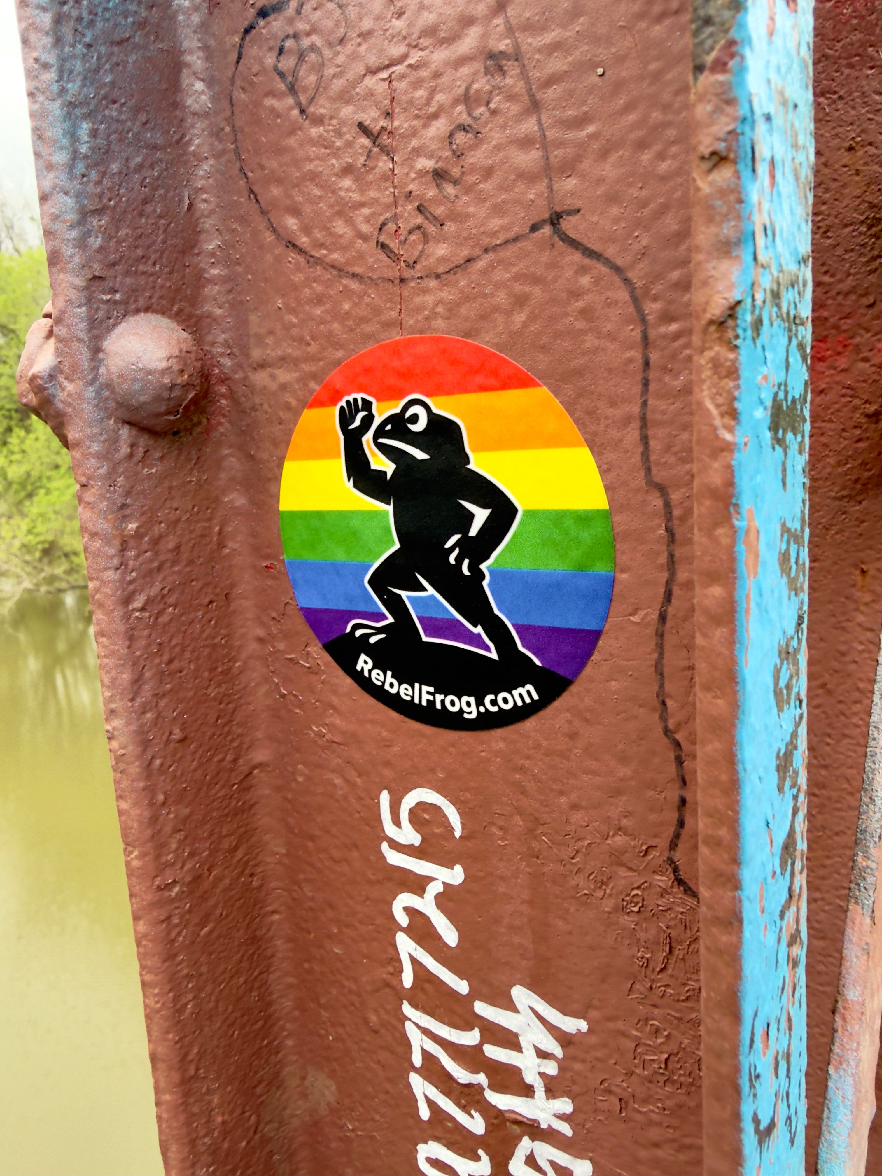 Rebel Frog “Stay Froggy Stay Free” Rainbow Pride Vinyl Sticker (3”)