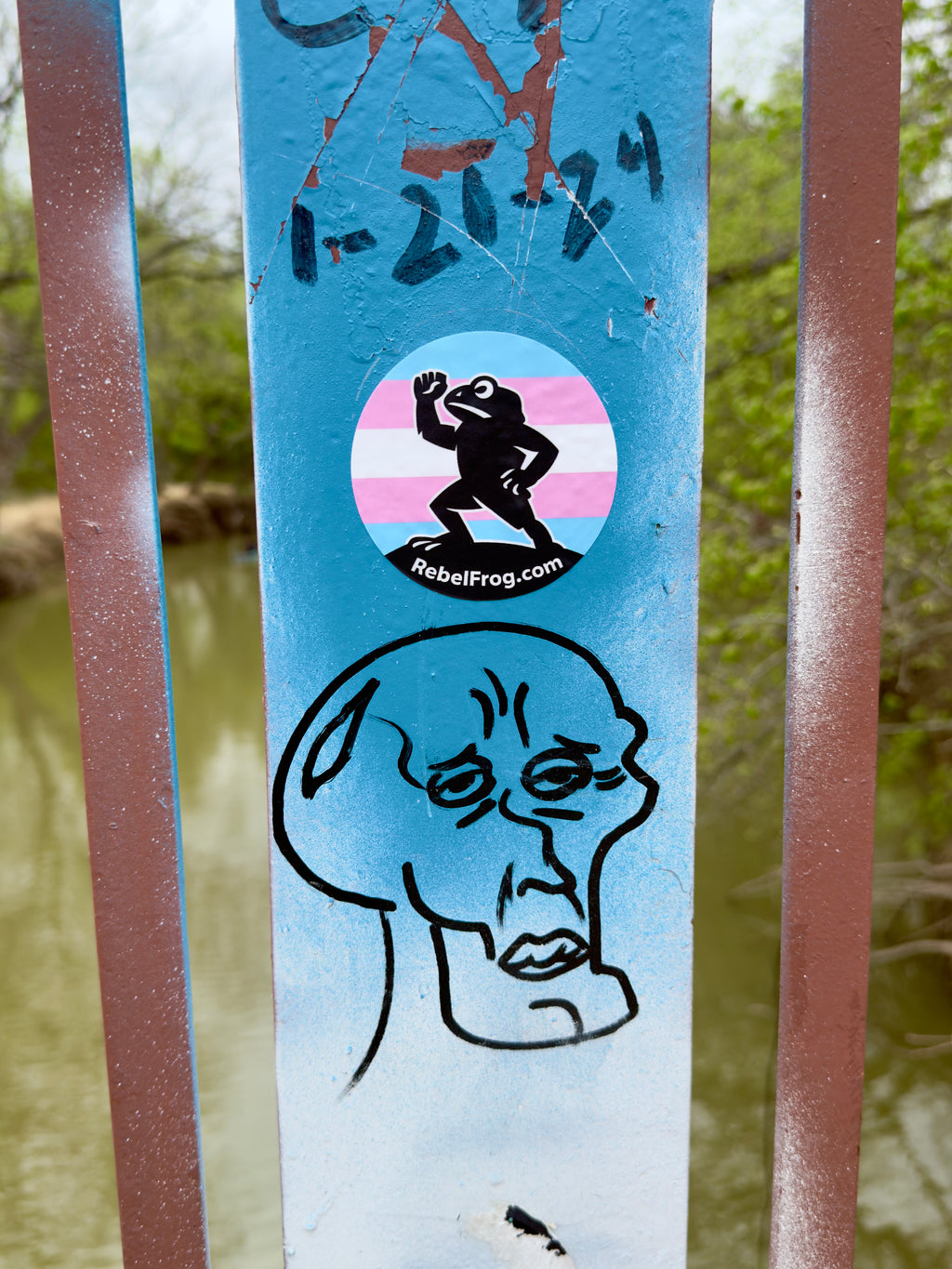 Rebel Frog “Stay Froggy Stay Free” Trans Pride Vinyl Sticker (3”)