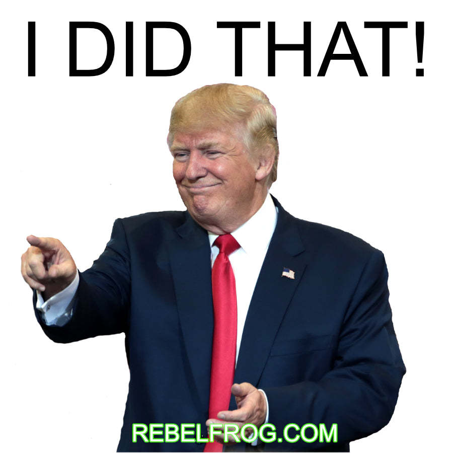 “I DID THAT!” Political Sticker – Rebel Frog 2”x2” Vinyl Slap